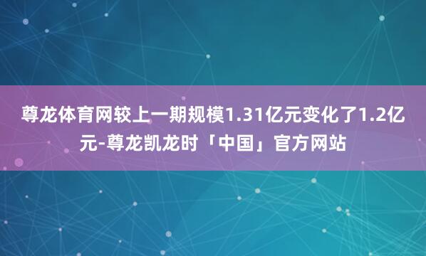 尊龙体育网较上一期规模1.31亿元变化了1.2亿元-尊龙凯龙时「中国」官方网站