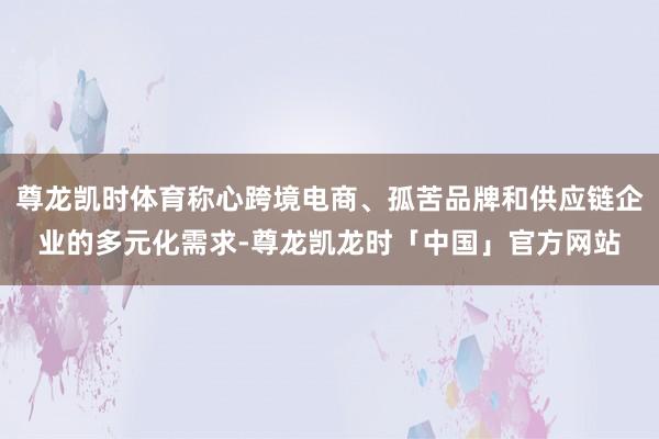 尊龙凯时体育称心跨境电商、孤苦品牌和供应链企业的多元化需求-尊龙凯龙时「中国」官方网站