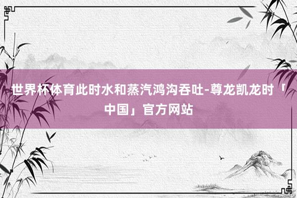世界杯体育此时水和蒸汽鸿沟吞吐-尊龙凯龙时「中国」官方网站