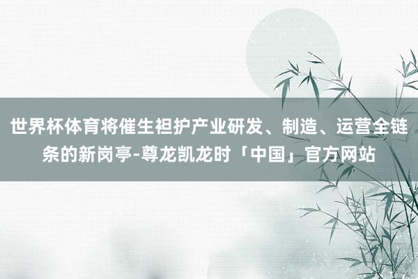 世界杯体育将催生袒护产业研发、制造、运营全链条的新岗亭-尊龙凯龙时「中国」官方网站