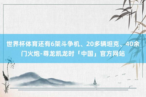世界杯体育还有6架斗争机、20多辆坦克、40余门火炮-尊龙凯龙时「中国」官方网站