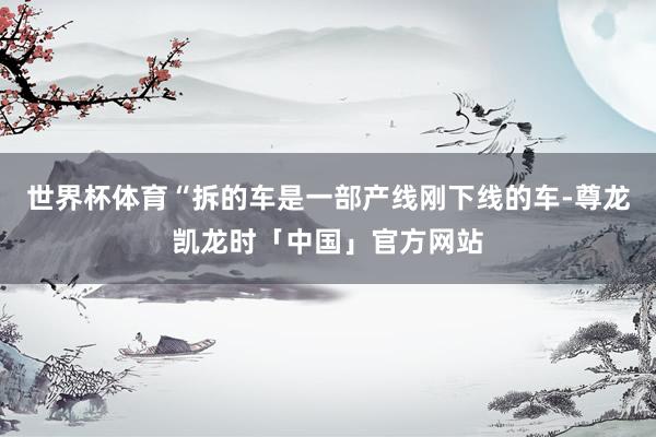 世界杯体育“拆的车是一部产线刚下线的车-尊龙凯龙时「中国」官方网站
